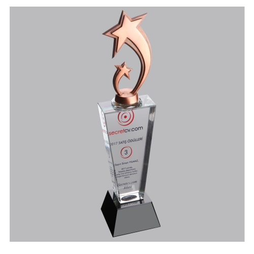 KRİSTAL VİP PLAKET ESV 009