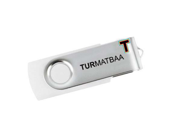Standart USB Bellek