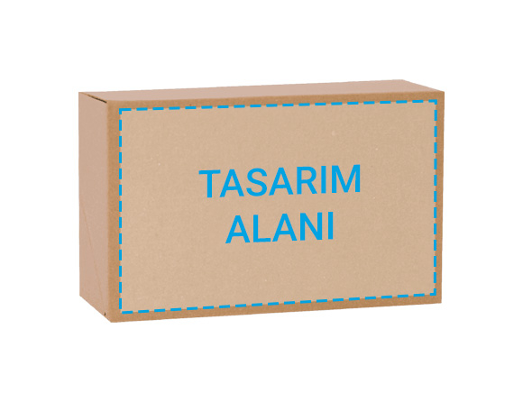 Baskılı Küçük Desi Kargo Kutusu