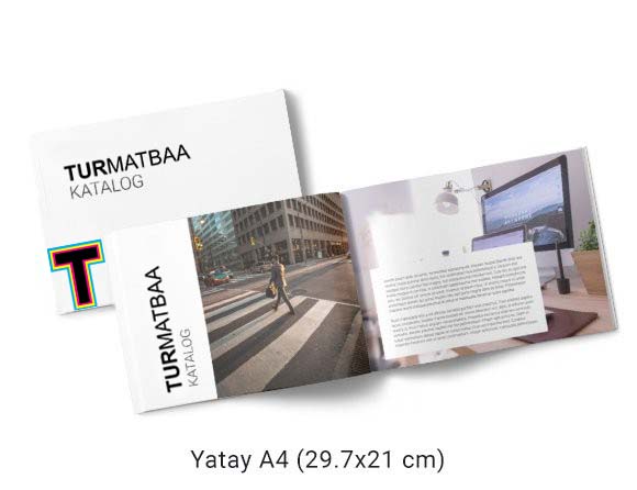 Katalog / Dergi